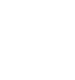 DigiBox